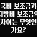 美친 소식 국비 보조금과 지방비 보조금의 차이는 무엇인가요? 알려드릴게요