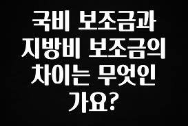 美친 소식 국비 보조금과 지방비 보조금의 차이는 무엇인가요? 알려드릴게요