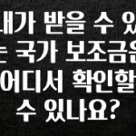 사랑을 담은 내가 받을 수 있는 국가 보조금은 어디서 확인할 수 있나요? 확인해보세요