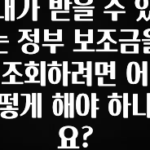 정성을 담은 내가 받을 수 있는 정부 보조금을 조회하려면 어떻게 해야 하나요? 지금 소개할게요