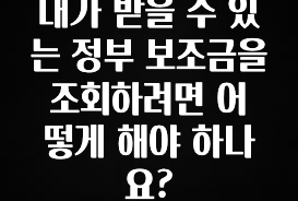 정성을 담은 내가 받을 수 있는 정부 보조금을 조회하려면 어떻게 해야 하나요? 지금 소개할게요