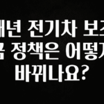 이거 “꼭” 기억하자 내년 전기차 보조금 정책은 어떻게 바뀌나요? 업데이트된 소식입니다
