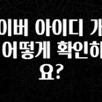 정성을 다하는 네이버 아이디 개수는 어떻게 확인하나요? 요약본만 확인해보세요
