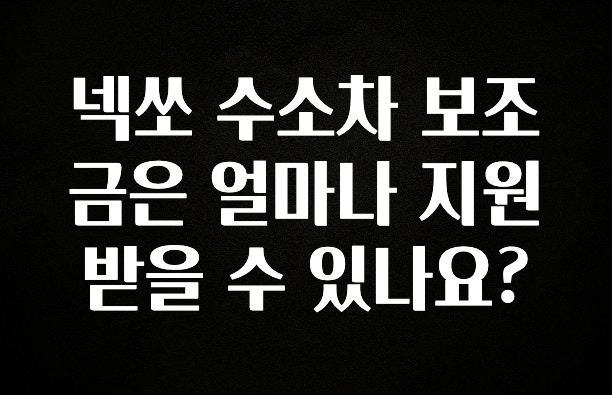 빠르게 확인 하세요! 넥쏘 수소차 보조금은 얼마나 지원받을 수 있나요? 실사용 후기