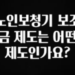 혹시 찾고계셨나요? 노인보청기 보조금 제도는 어떤 제도인가요? 전해드립니다