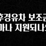 간단소식 노후경유차 보조금은 얼마나 지원되나요? 한 번에 알려드립니다