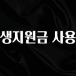 간단뉴스 민생지원금 사용처 확인하시죠