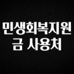 실시간으로 뜸! 민생회복지원금 사용처 지금 소개할게요