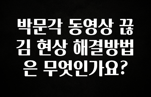 진심을 담은 박문각 동영상 끊김 현상 해결방법은 무엇인가요? 뜨거운 관심 감사합니다