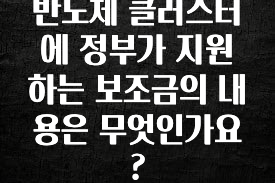 베스트 반도체 클러스터에 정부가 지원하는 보조금의 내용은 무엇인가요? 확인하시죠
