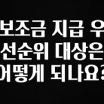 간편확인 보조금 지급 우선순위 대상은 어떻게 되나요? 꼭 확인해보세요