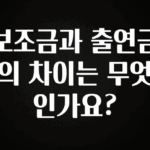 후회하지 않는 보조금과 출연금의 차이는 무엇인가요? 궁금하시죠?