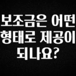 간단정보 보조금은 어떤 형태로 제공이 되나요? 실사용 후기