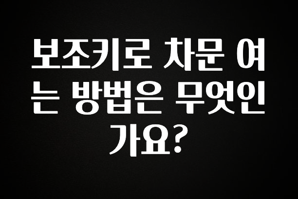 모두가 궁금했던 보조키로 차문 여는 방법은 무엇인가요? 30초면 확인 가능합니다