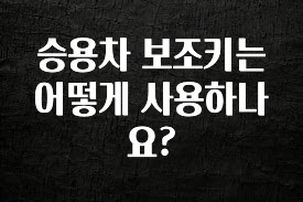 추가소식 승용차 보조키는 어떻게 사용하나요? 알려드릴게요