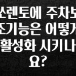 간단뉴스 쏘렌토에 주차보조기능은 어떻게 활성화 시키나요? 후회하지 않습니다