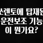 정성가득 선물 쏘렌토에 탑재된 운전보조 기능이 뭔가요? 궁금하신가요?
