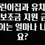 인플루언서가 공개한 어린이집과 유치원의 보조금 지원 금액 차이는 얼마나 나나요? 기억하세요