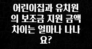 인플루언서가 공개한 어린이집과 유치원의 보조금 지원 금액 차이는 얼마나 나나요? 기억하세요