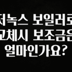 요즘 “다” 여기서 한대 저녹스 보일러로 교체시 보조금은 얼마인가요? 꼭 확인해보세요