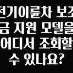 방금 전달받은 전기이륜차 보조금 지원 모델을 어디서 조회할 수 있나요? 추천한 이유입니다