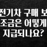 바로클릭 전기차 구매 보조금은 어떻게 지급되나요? 확인하시죠