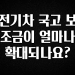 간단정보 전기차 국고 보조금이 얼마나 확대되나요? 좋은 정보