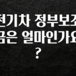정성을 담은 전기차 정부보조금은 얼마인가요? 놓치지마세요