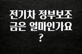 정성을 담은 전기차 정부보조금은 얼마인가요? 놓치지마세요