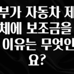 꾸준한 사랑을 받은 정부가 자동차 제조업체에 보조금을 주는 이유는 무엇인가요? 꼭 알아두세요