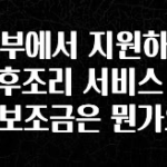 시간이 없다? 정부에서 지원하는 산후조리 서비스 비용 보조금은 뭔가요? 기억하세요