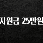 이달의 핫 지원금 25만원 궁금하시죠?