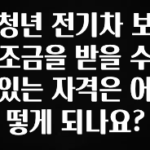 sns소식 청년 전기차 보조금을 받을 수 있는 자격은 어떻게 되나요? 지금떳다
