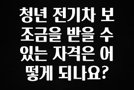 sns소식 청년 전기차 보조금을 받을 수 있는 자격은 어떻게 되나요? 지금떳다