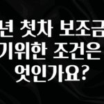 美친 소식 청년 첫차 보조금을 받기위한 조건은 무엇인가요? 기억하세요