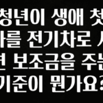 감사를 담은 청년이 생애 첫 차를 전기차로 사면 보조금을 주는 기준이 뭔가요? 확인하시죠