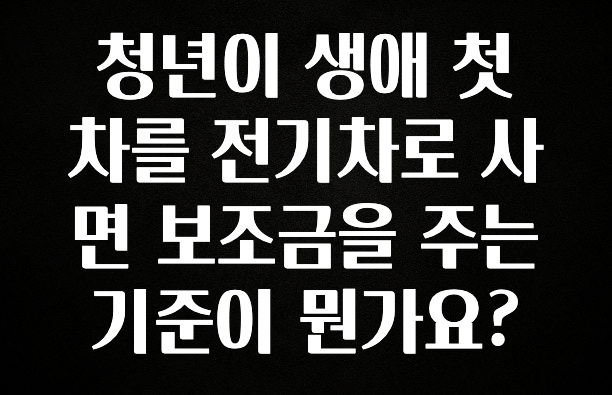 감사를 담은 청년이 생애 첫 차를 전기차로 사면 보조금을 주는 기준이 뭔가요? 확인하시죠