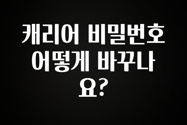 시간이 없다? 캐리어 비밀번호 어떻게 바꾸나요? 전해드립니다