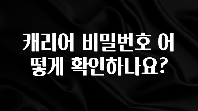 진심이 담긴 캐리어 비밀번호 어떻게 확인하나요? 좋은 정보