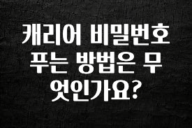 실시간 반응 터진 캐리어 비밀번호 푸는 방법은 무엇인가요? 알려드립니다