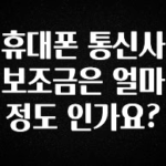 검색량 증가한 휴대폰 통신사 보조금은 얼마정도 인가요? 요약정리
