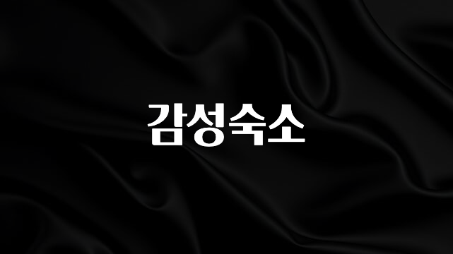 정성가득 선물 감성숙소 바로 소개합니다.