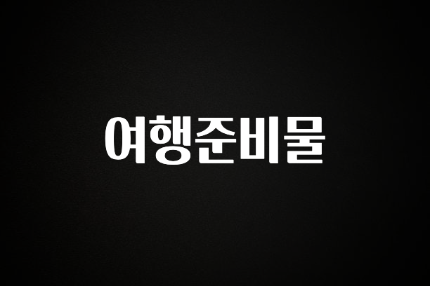 가성비 정보 여행준비물 바로 소개합니다.