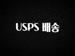 추가정보 USPS 배송 실사용 후기