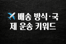 유튜브에서 난리난 정보 ✈️ 배송 방식·국제 운송 키워드 주목하고 계십니다
