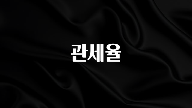 모두가 궁금해 했던 관세율 실사용 후기