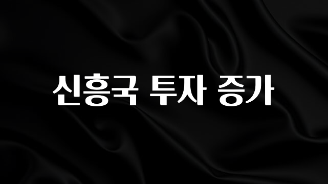 별다섯개 신흥국 투자 증가 확인하시죠