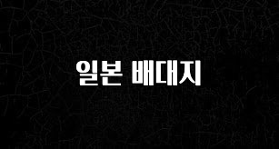 별다섯개 일본 배대지 군말없이 소개합니다