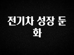 추가정보 전기차 성장 둔화 확인하시죠