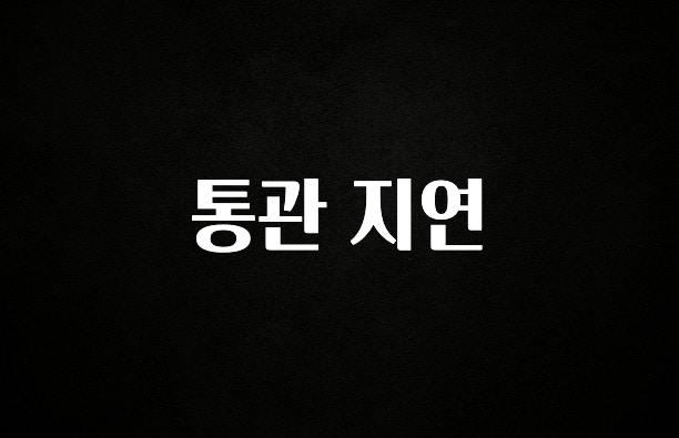 요즘 이게 유행 통관 지연 지금 소개할게요